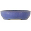 Pot ovale bleu pour bonsaï de Shuhou - 505 x 415 x 110 mm