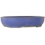 Pot ovale bleu pour bonsaï de Shuhou - 505 x 415 x 110 mm