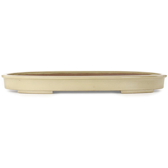 Pot à bonsaï ovale blanc cassé de Kakuzan - 675 x 443 x 65 mm