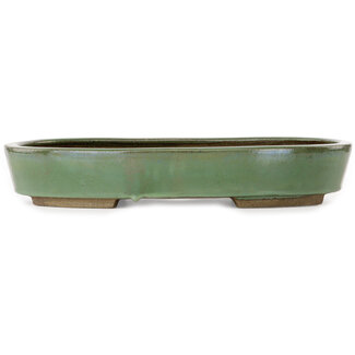Taizan Pot à bonsaï vert ovale de 475 mm par Taizan, Tokoname, Japon