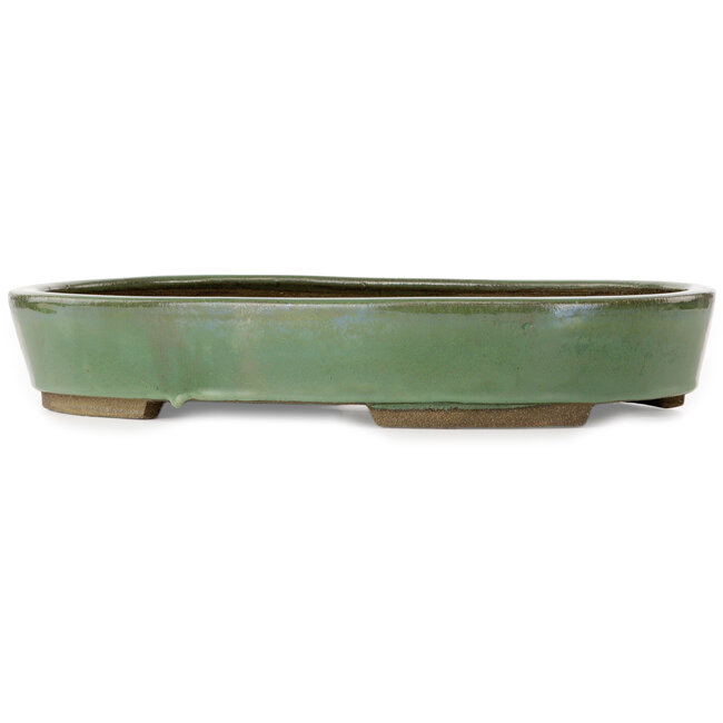 Vaso bonsai ovale verde di Taizan - 475 x 340 x 85 mm