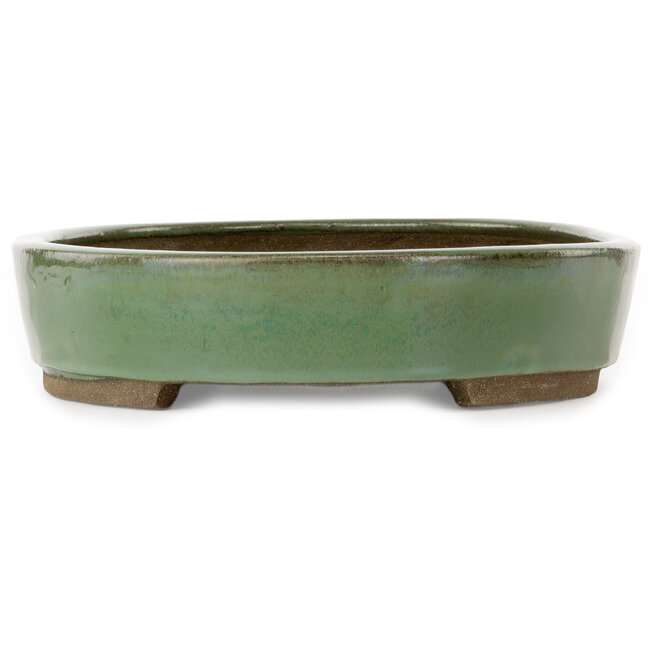 Oval green bonsai pot by Taizan - 475 x 340 x 85 mm