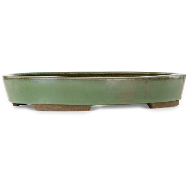 Ovale groene bonsaipot van Taizan - 475 x 340 x 85 mm