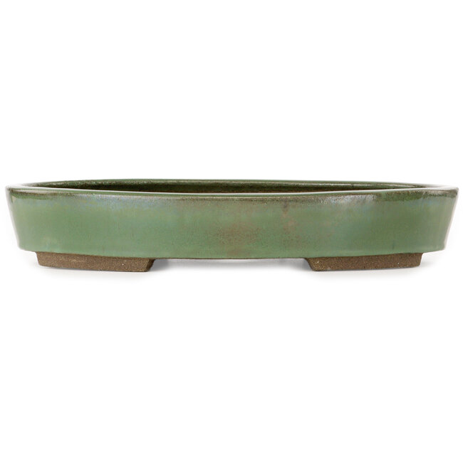 Pot à bonsaï ovale vert par Taizan - 475 x 340 x 85 mm
