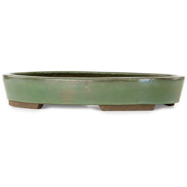 Oval green bonsai pot by Taizan - 475 x 340 x 85 mm