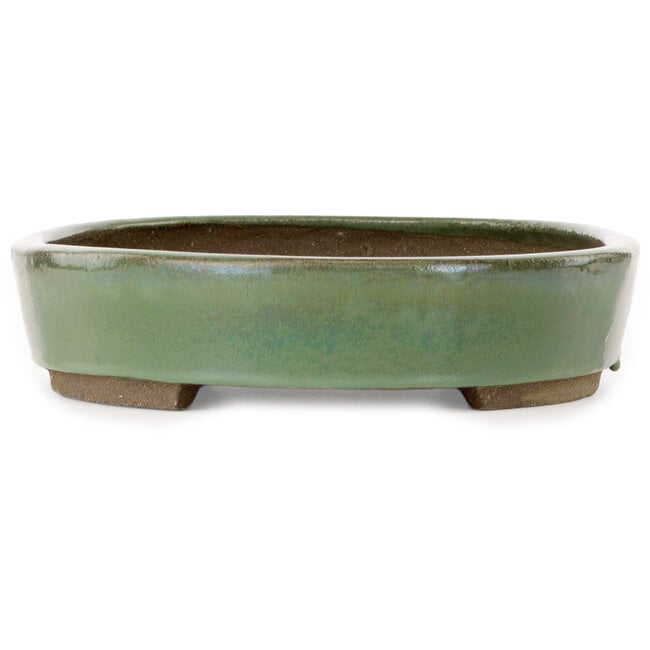 Pot à bonsaï ovale vert par Taizan - 475 x 340 x 85 mm