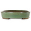 Vaso bonsai ovale verde di Taizan - 475 x 340 x 85 mm