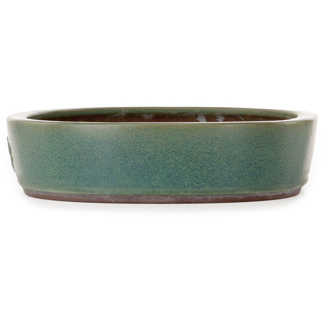 Ovale groene bonsaipot van Yamaaki Toshio (derde generatie) - 405 x 323 x 78 mm