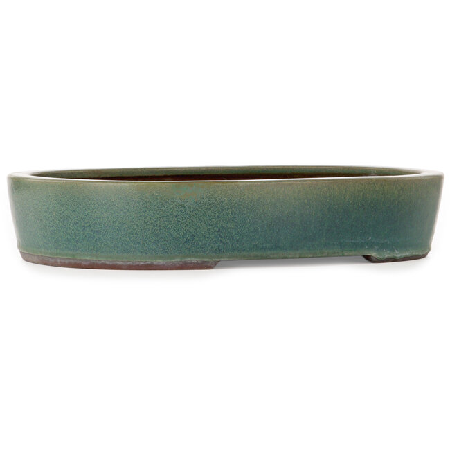 Vaso bonsai ovale verde di Yamaaki Toshio (terza generazione) - 405 x 323 x 78 mm