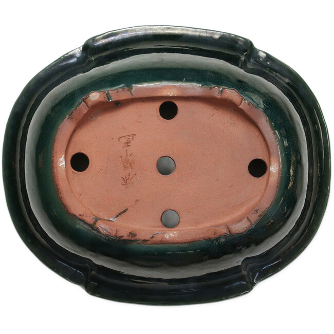 Maceta para bonsái verde Mokko de Shuhou - 402 x 342 x 115 mm