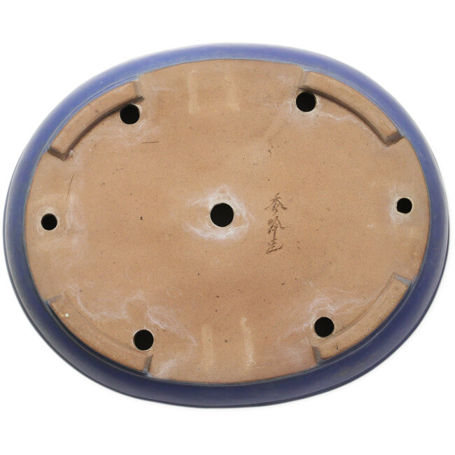 Maceta ovalada azul para bonsái de Shuhou - 505 x 415 x 110 mm