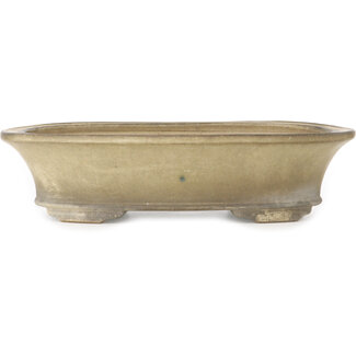  Satomi Mazan, Mazan Terahata Vaso bonsai ovale bianco sporco da 405 mm di Terahata Satomi Mazan, Tokoname, Giappone