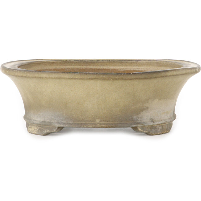 Pot à bonsaï ovale blanc cassé par Terahata Satomi Mazan - 405 x 315 x 93 mm