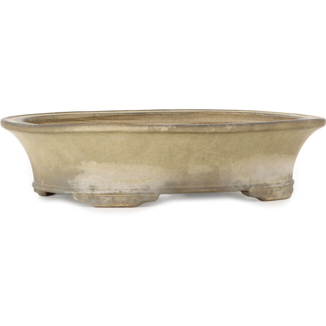 Maceta ovalada para bonsái blanquecino de Terahata Satomi Mazan - 405 x 315 x 93 mm