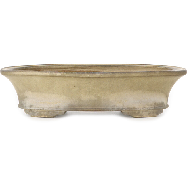 Maceta ovalada para bonsái blanquecino de Terahata Satomi Mazan - 405 x 315 x 93 mm
