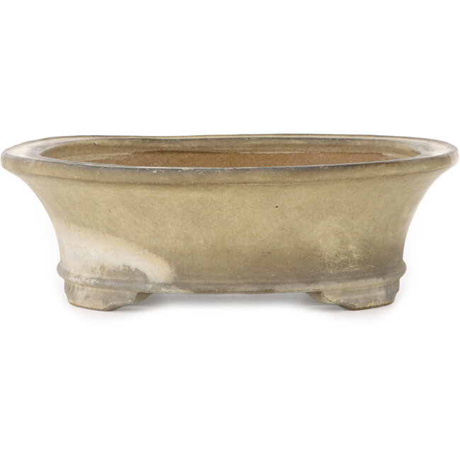 Maceta ovalada para bonsái blanquecino de Terahata Satomi Mazan - 405 x 315 x 93 mm