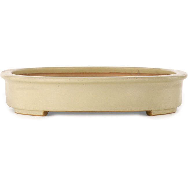 Oval off-white bonsai pot by Seizan (Reihou, Kataoka Katsushi, master Seizan kiln) - 503 x 390 x 75 mm