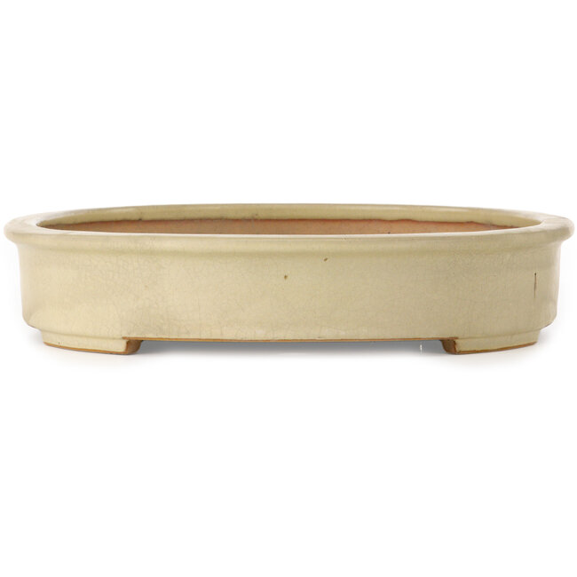 Oval off-white bonsai pot by Seizan (Reihou, Kataoka Katsushi, master Seizan kiln) - 503 x 390 x 75 mm