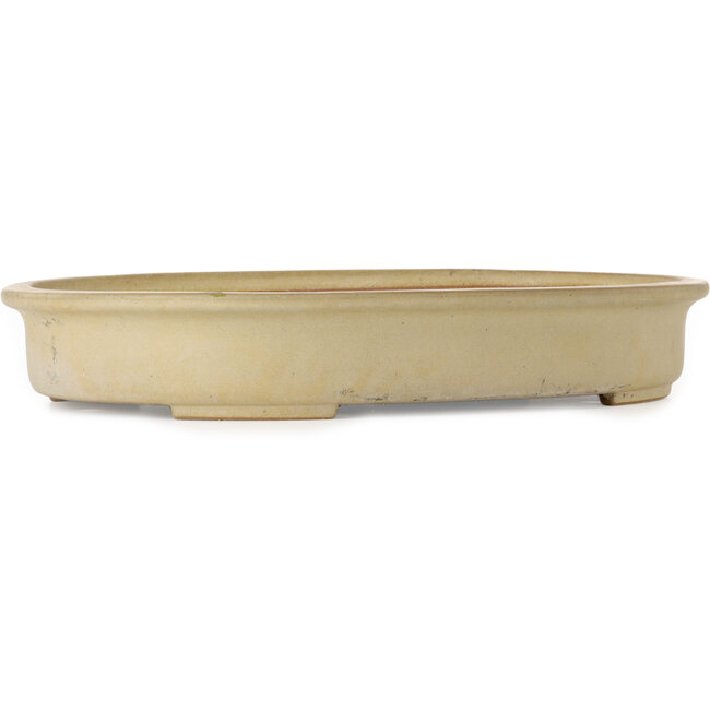 Maceta ovalada para bonsái de color blanquecino de Seizan (Reihou, Kataoka Katsushi, maestro del horno Seizan) - 585 x 435 x 95 mm