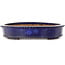Ovale blauwe bonsaipot - 458 x 365 x 68 mm