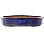 Vaso bonsai ovale blu - 458 x 365 x 68 mm