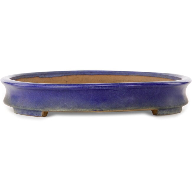 Oval blue bonsai pot by Yamafusa - 550 x 400 x 62 mm