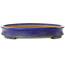 Oval blue bonsai pot by Yamafusa - 550 x 400 x 62 mm