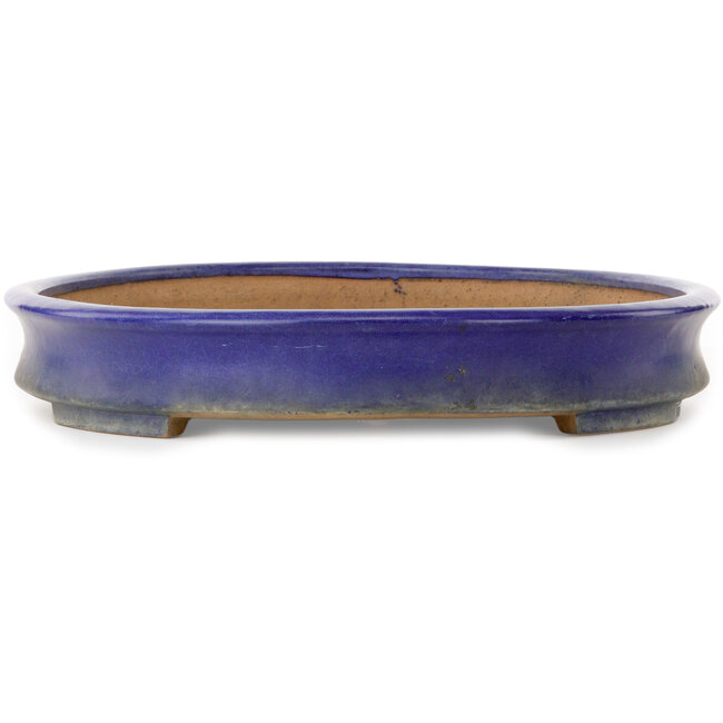 Maceta ovalada azul para bonsái de Yamafusa - 550 x 400 x 62 mm