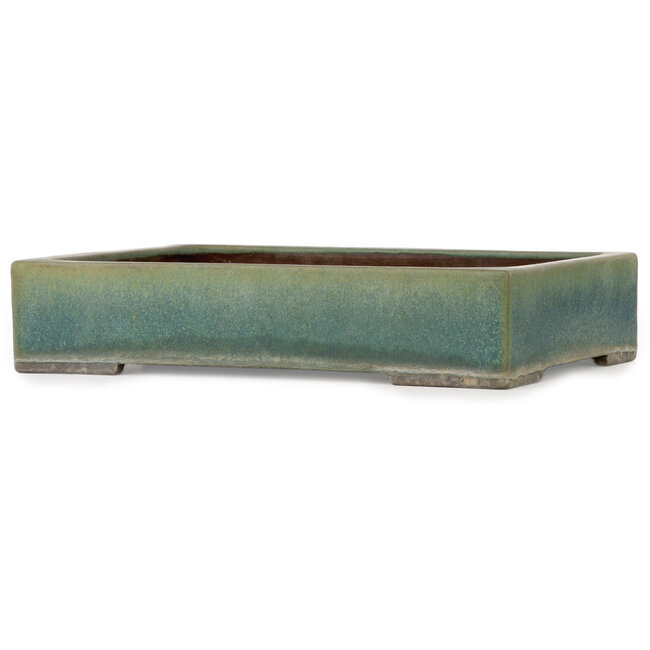 Maceta rectangular para bonsái verde de Yamaaki Toshio (tercera generación) - 372 x 277 x 78 mm