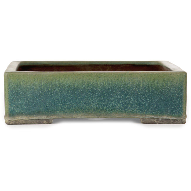 Maceta rectangular para bonsái verde de Yamaaki Toshio (tercera generación) - 372 x 277 x 78 mm