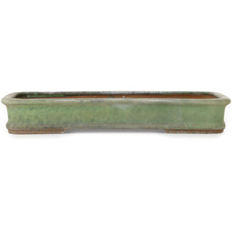  Shuuhou (Hidemi Kataoka) 428 mm rectangular green bonsai pot by Shuhou, Tokoname, Japan
