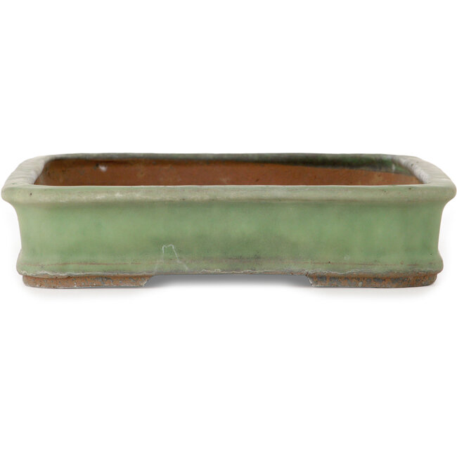 Maceta rectangular verde para bonsái de Shuhou - 428 x 293 x 65 mm