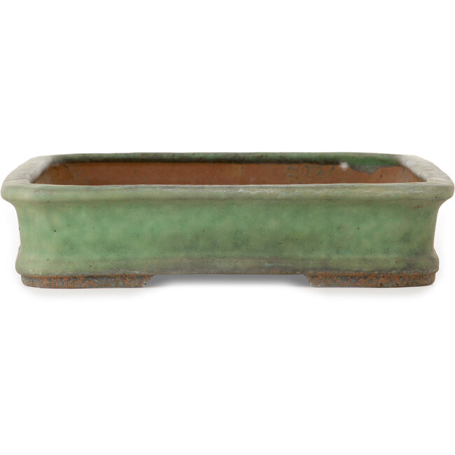Rectangular green bonsai pot by Shuhou - 428 x 293 x 65 mm