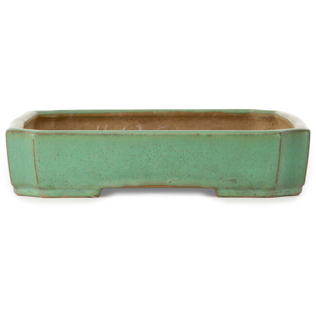 Vaso bonsai rettangolare verde di Yamafusa - 462 x 327 x 70 mm