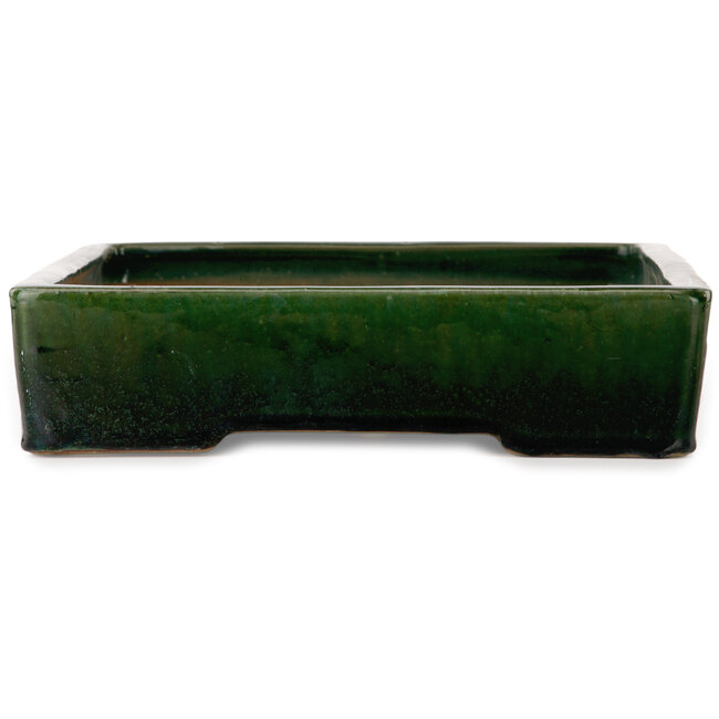 Rectangular green bonsai pot by Shuhou - 475 x 333 x 80 mm