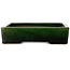 Pot à bonsaï rectangulaire vert de Shuhou - 475 x 333 x 80 mm