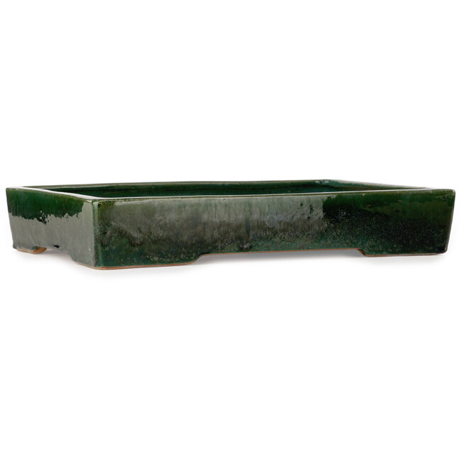 Maceta rectangular verde para bonsái de Shuhou - 475 x 333 x 80 mm