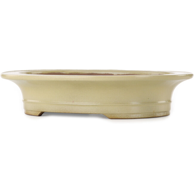 Oval off-white bonsai pot by Kakuzan - 470 x 395 x 98 mm