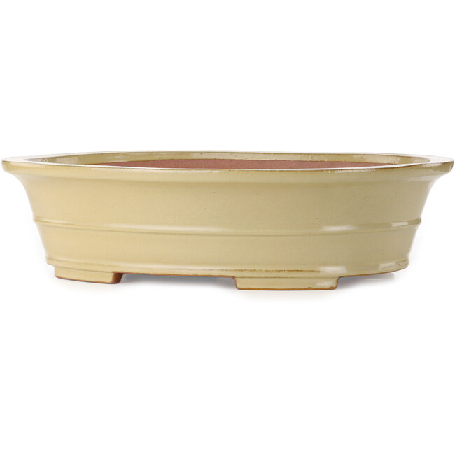 Oval off-white bonsai pot by Seizan (Reihou, Kataoka Katsushi, master Seizan kiln) - 557 x 430 x 145 mm