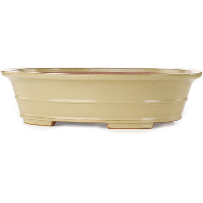 Vaso bonsai ovale bianco sporco di Seizan (Reihou, Kataoka Katsushi, forno del maestro Seizan) - 557 x 430 x 145 mm