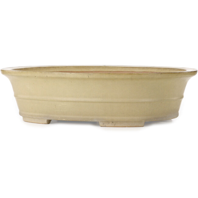 Maceta ovalada para bonsái de color blanquecino de Seizan (Reihou, Kataoka Katsushi, maestro del horno Seizan) - 555 x 435 x 138 mm