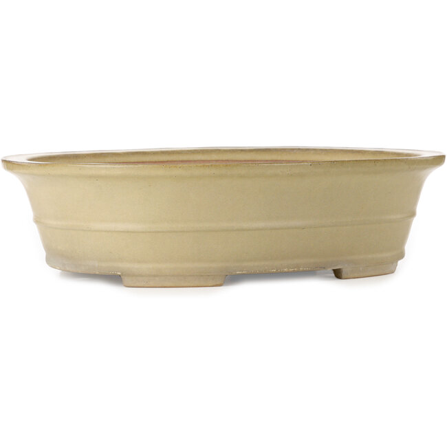 Maceta ovalada para bonsái de color blanquecino de Seizan (Reihou, Kataoka Katsushi, maestro del horno Seizan) - 555 x 435 x 138 mm