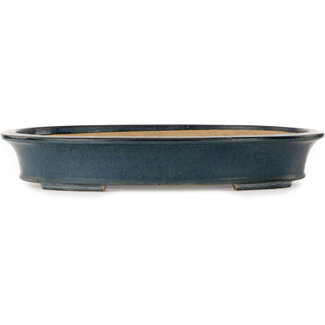 Seizan (Reihou, Kataoka Katsushi, master Seizan kiln) 515 mm ovale blauwe bonsaipot van Seizan (Reihou, Kataoka Katsushi, meester Seizan oven), Tokoname, Japan