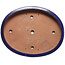 Oval blue bonsai pot - 458 x 365 x 68 mm