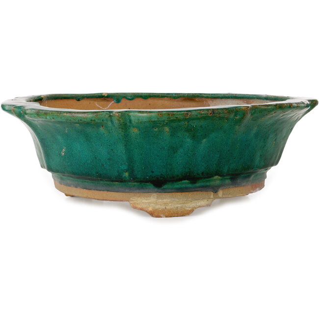 Maceta para bonsái verde loto de Kanto - 470 x 470 x 155 mm