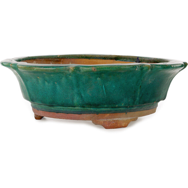 Pot à bonsaï vert lotus de Kanto - 470 x 470 x 155 mm