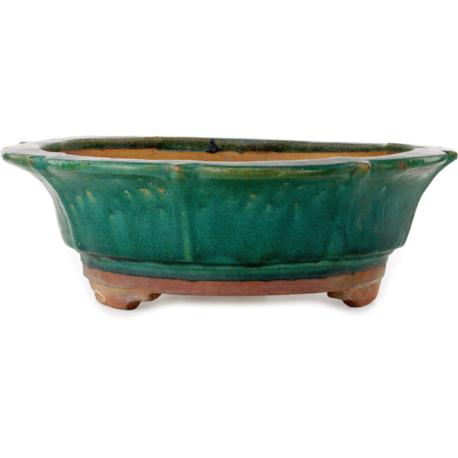 Maceta para bonsái verde loto de Kanto - 470 x 470 x 155 mm