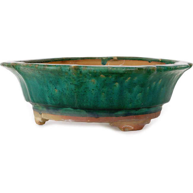 Pot à bonsaï vert lotus de Kanto - 470 x 470 x 155 mm