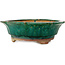Lotus green bonsai pot by Kanto - 470 x 470 x 155 mm