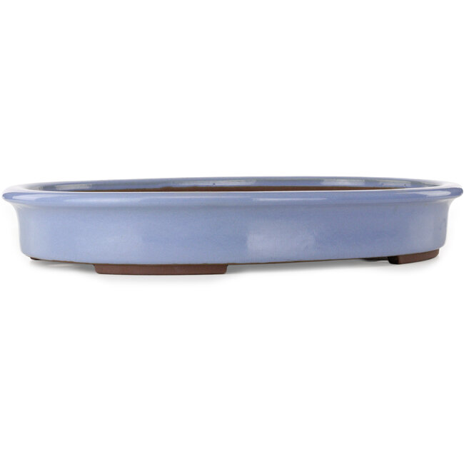 Vaso bonsai ovale blu di Yamaaki Toshio (terza generazione) - 565 x 420 x 85 mm